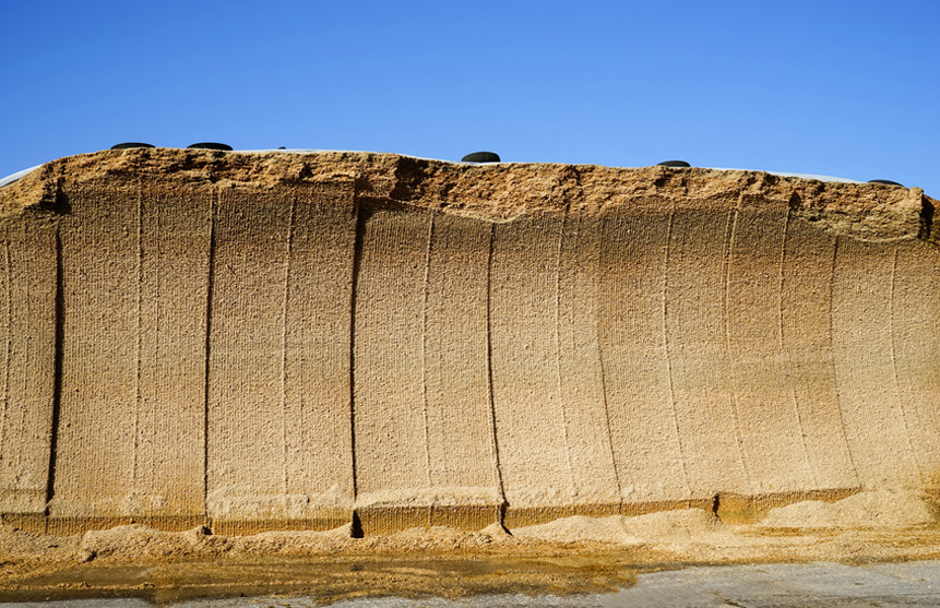 Anschnittfläche eines großen Maissilagehaufen Anschnittfläche eines großen Maissilagehaufen