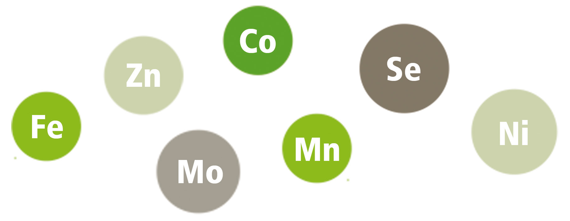 Spurenelemente Spurenelemente